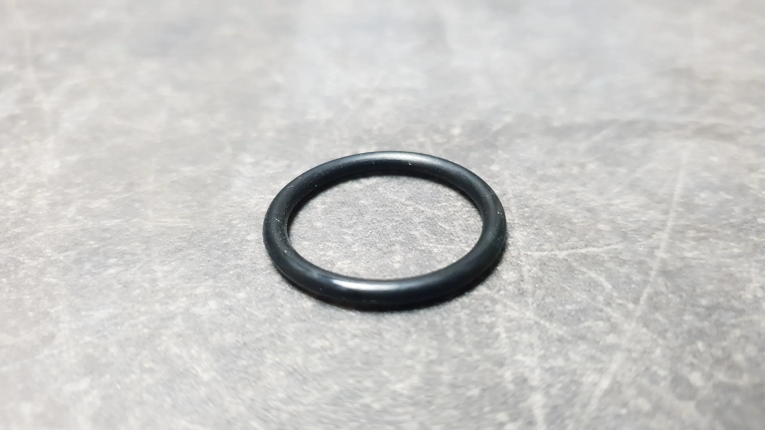 Кольцо уплотнительное клапана Ваноса Vanos M50, M52, M54 (10-25)